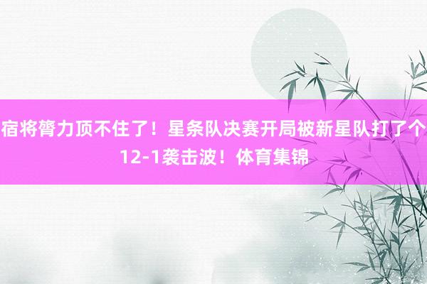 宿将膂力顶不住了！星条队决赛开局被新星队打了个12-1袭击波！体育集锦